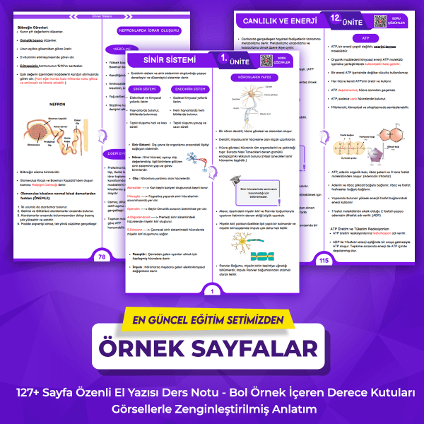 AYT Biyoloji Paketi - Görsel 2